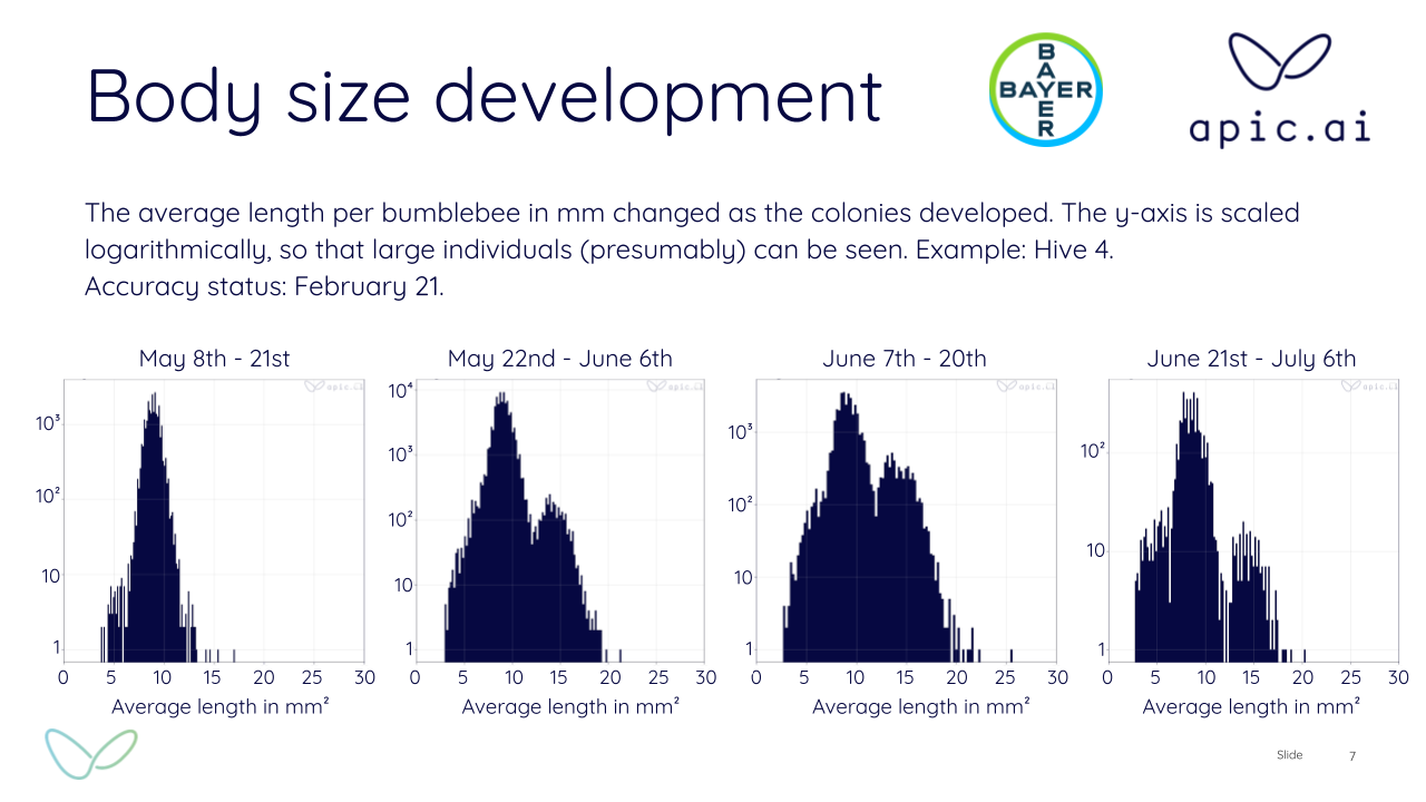 Body size development