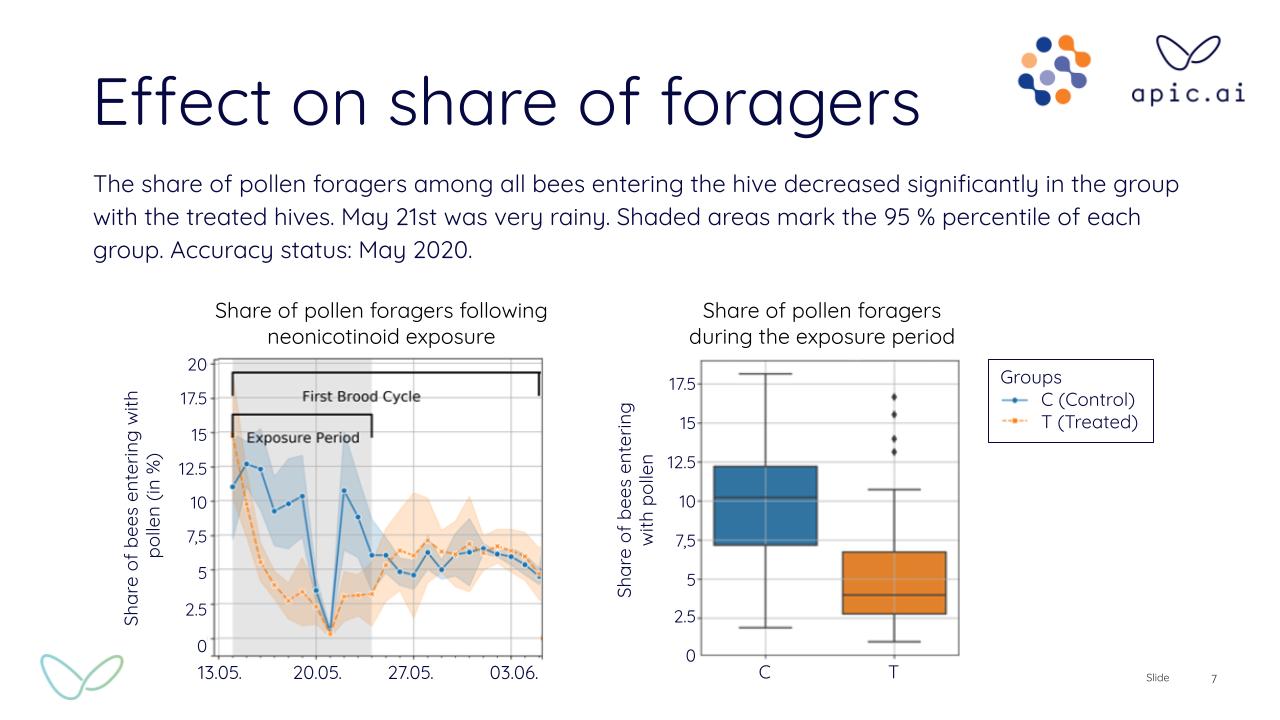 Share of foragers